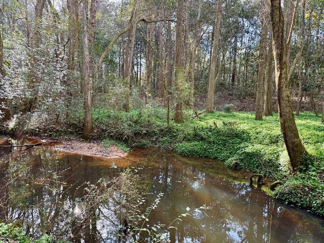 1890 N Co Rd 61, Hartford, AL 36344