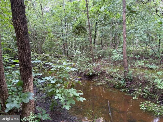 22478 DINAH PL, Leesburg, VA 20175