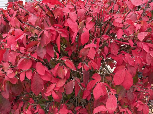 1712 28th STREET, Two Rivers, WI 54241