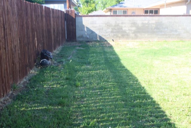 3645 E Cortland Avenue, Fresno, CA 93726