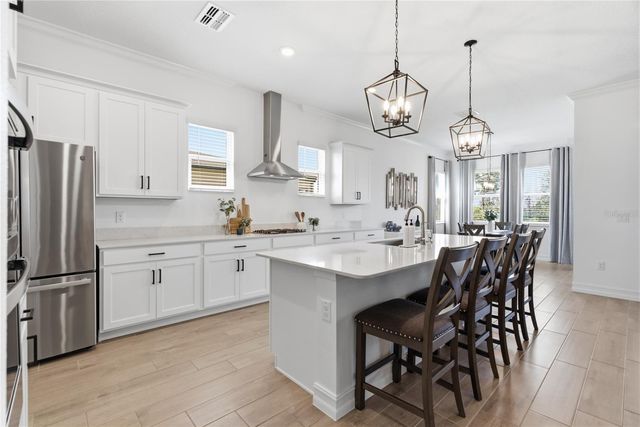 8908 LITTLE BLUESTEM DRIVE, Land O Lakes, FL 34637
