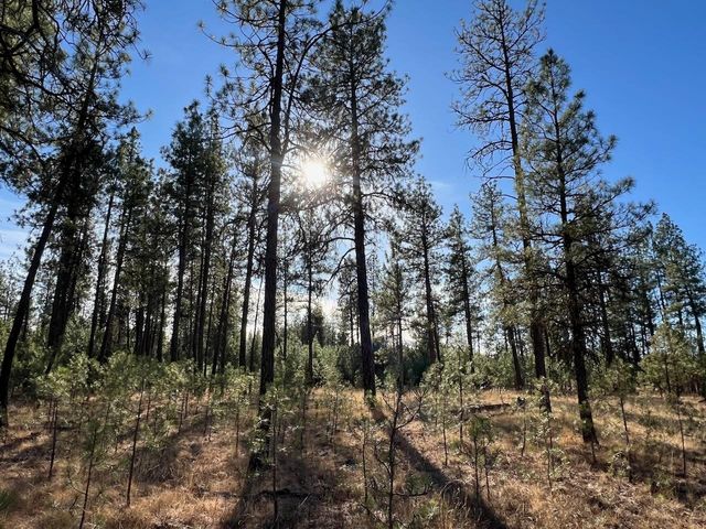 17305 S Blasted Ln, Cheney, WA 99004
