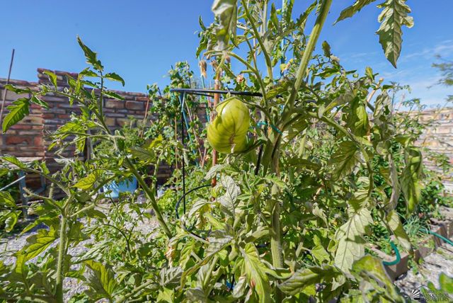 13574 E 55 St, Yuma, AZ 85367