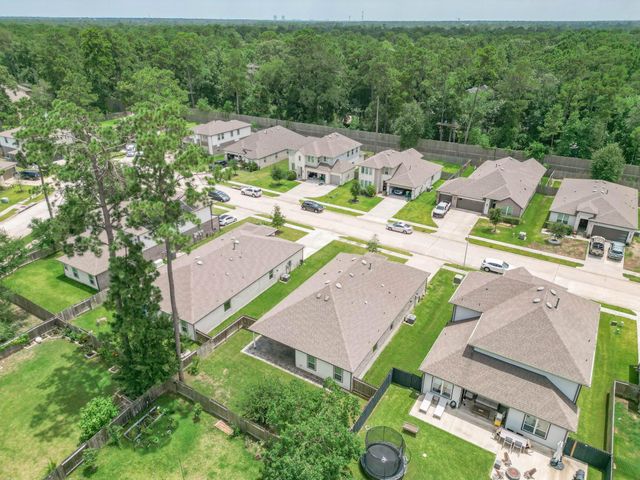 10026 Angelina Woods Lane, Conroe, TX 77384