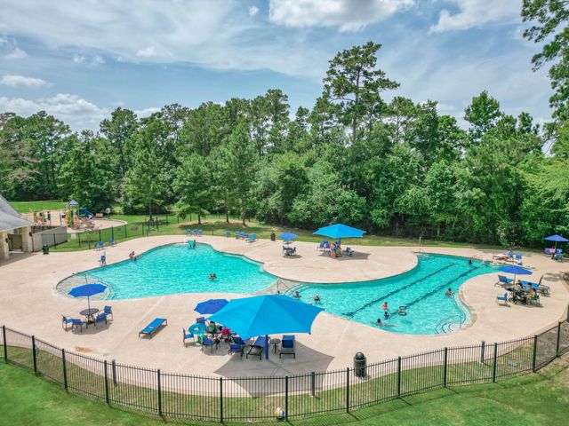 10026 Angelina Woods Lane, Conroe, TX 77384