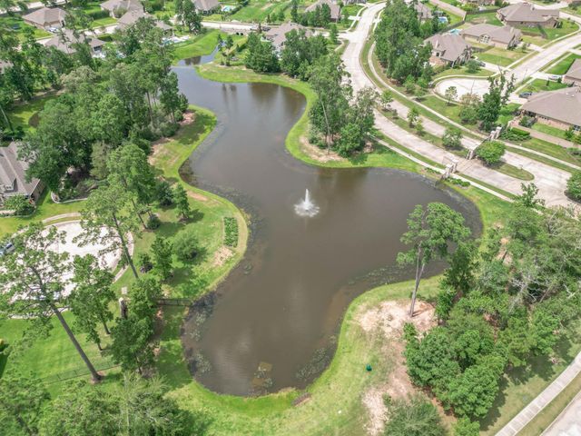 10026 Angelina Woods Lane, Conroe, TX 77384
