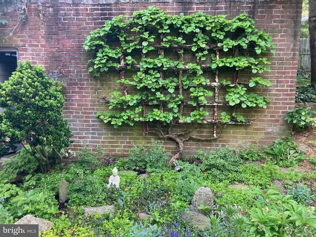 515 CARPENTER LN, Philadelphia, PA 19119