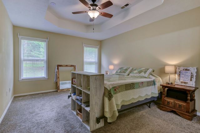 133 Birchwood Circle, Branson, MO 65616