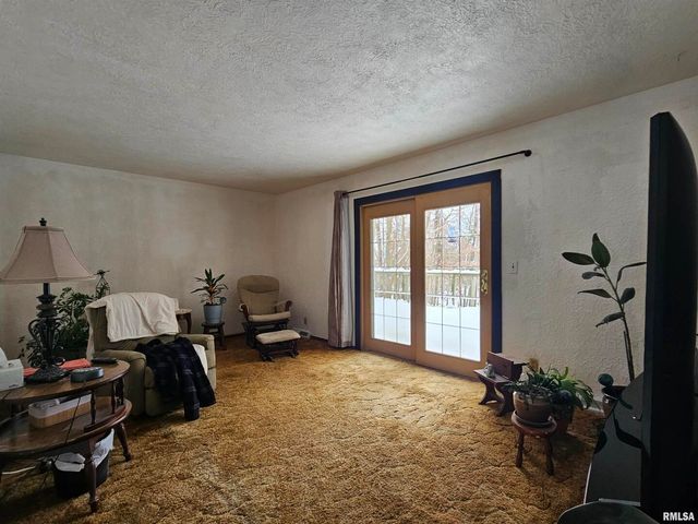 153 DEER PARK Drive, Geneseo, IL 61254