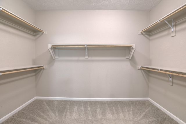 11809 N Star Trail NW, Albuquerque, NM 87120