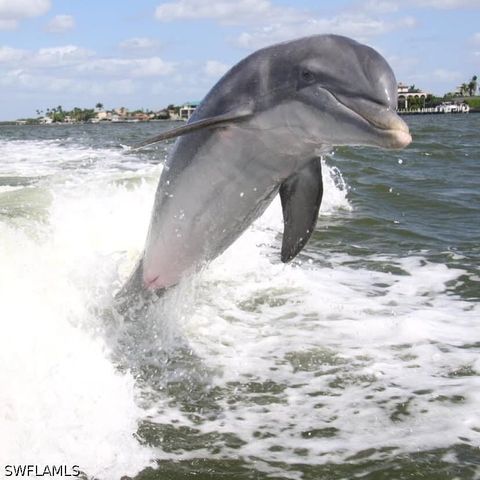 87 N Collier BLVD N1, Marco Island, FL 34145