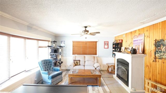 311 W Richardson Ave, Puxico, MO 63960