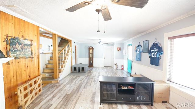 311 W Richardson Ave, Puxico, MO 63960