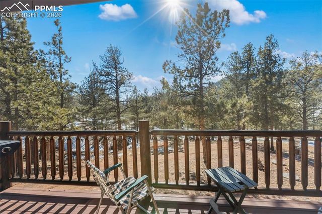 10449 CR 1 Road, Florissant, CO 80816