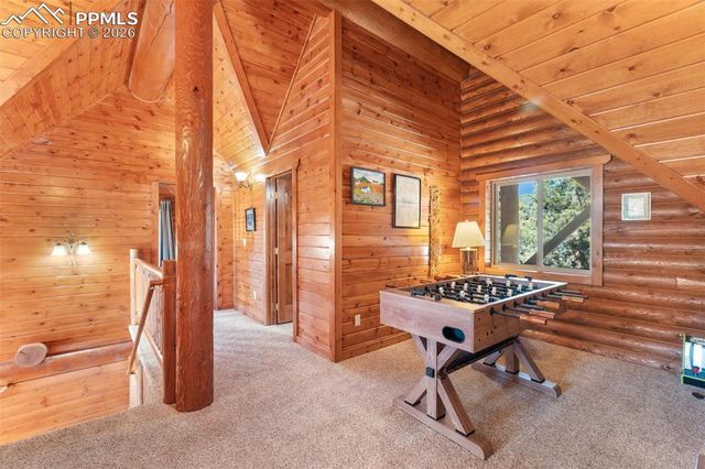 10449 CR 1 Road, Florissant, CO 80816