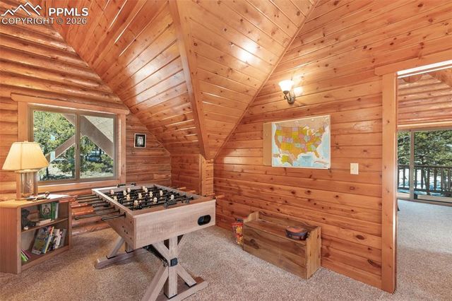 10449 CR 1 Road, Florissant, CO 80816