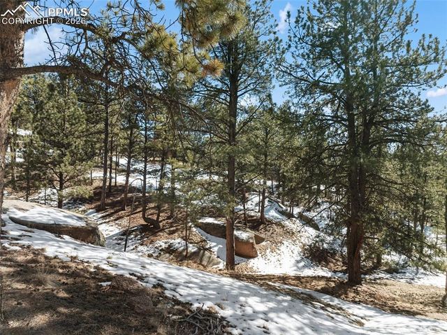 10449 CR 1 Road, Florissant, CO 80816