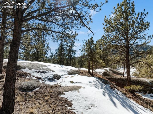 10449 CR 1 Road, Florissant, CO 80816
