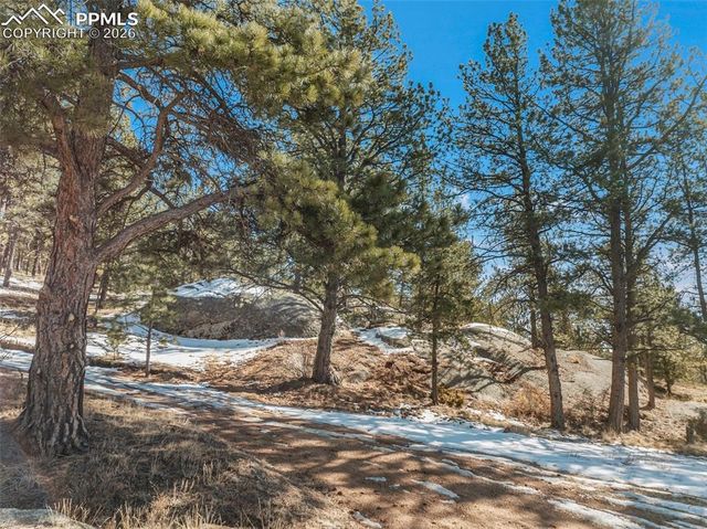 10449 CR 1 Road, Florissant, CO 80816
