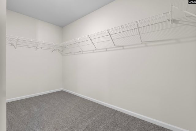 548 Corkscrew Lane, Blythewood, SC 29016