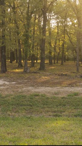 TBD Vintage Shore Drive, Quinlan, TX 75474
