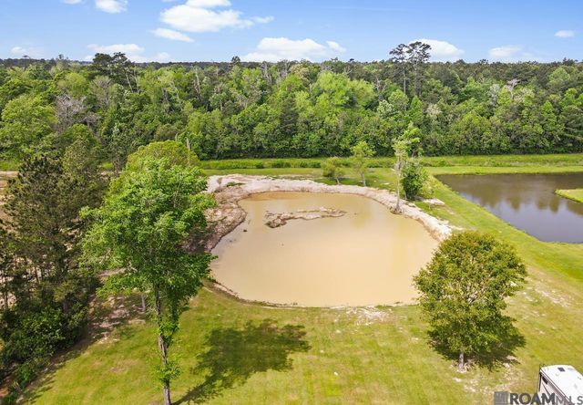 34435 Quarter Horse Ln, Walker, LA 70785