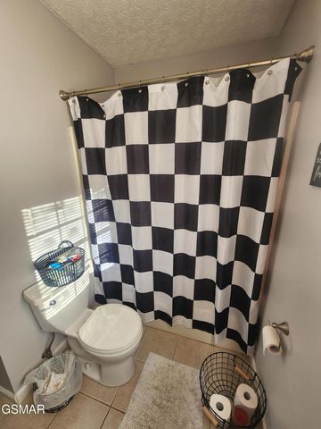 547 Allyson Drive, Kodak, TN 37764