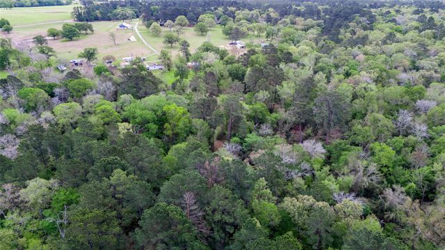 TBD Private Road 1120, Leona, TX 75850