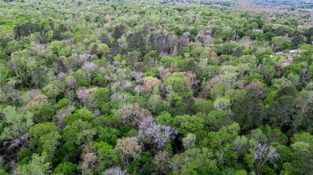TBD Private Road 1120, Leona, TX 75850