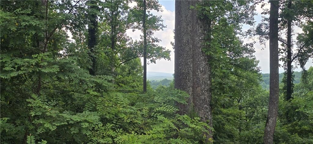 001 Windning Ridge, Blairsville, GA 30512