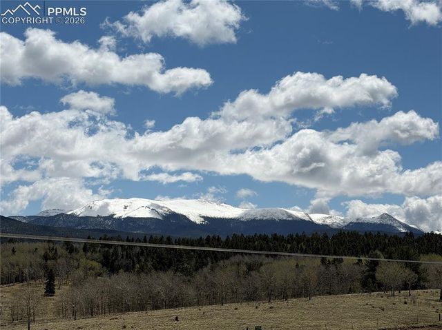 538 Friar Tuck Drive, Divide, CO 80814