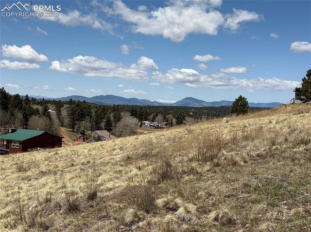 538 Friar Tuck Drive, Divide, CO 80814