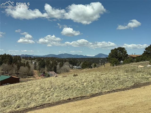 538 Friar Tuck Drive, Divide, CO 80814