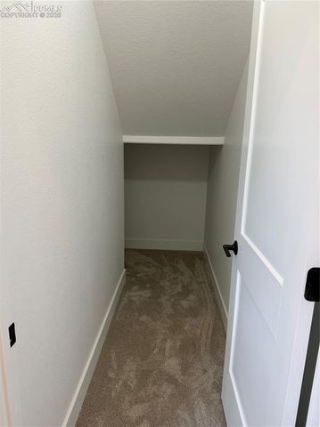 538 Friar Tuck Drive, Divide, CO 80814