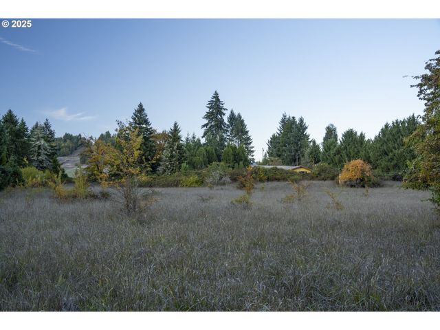 312 BRYANT Ln, Roseburg, OR 97471