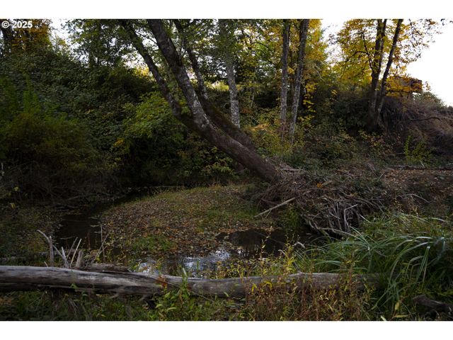 312 BRYANT Ln, Roseburg, OR 97471