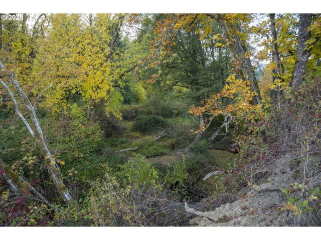 312 BRYANT Ln, Roseburg, OR 97471