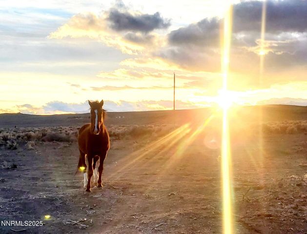 12965 Seminole Road, Stagecoach, NV 89429