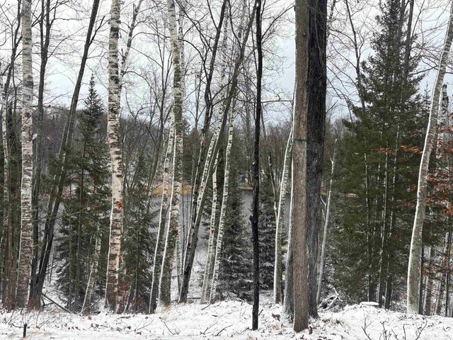 15744 DOUBLE B LANE, Mountain, WI 54149