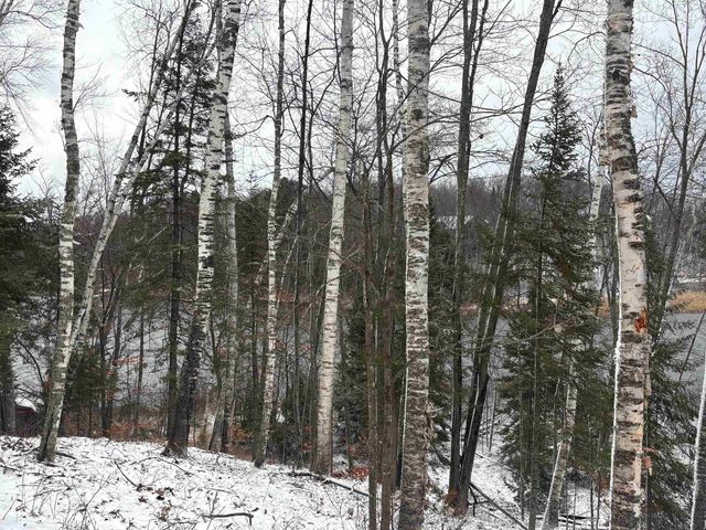 15744 DOUBLE B LANE, Mountain, WI 54149