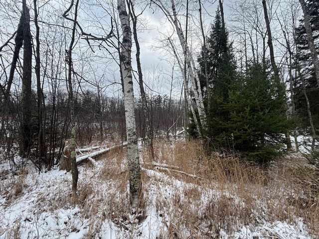 15744 DOUBLE B LANE, Mountain, WI 54149