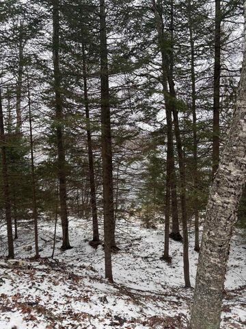 15744 DOUBLE B LANE, Mountain, WI 54149