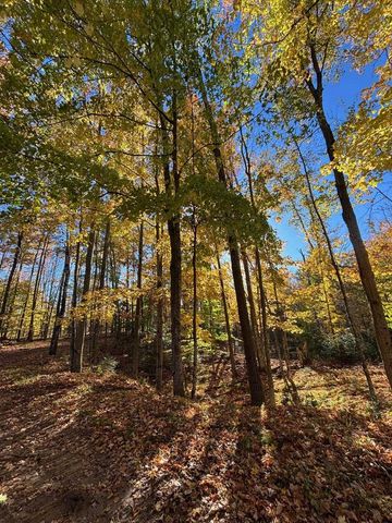 15744 DOUBLE B LANE, Mountain, WI 54149