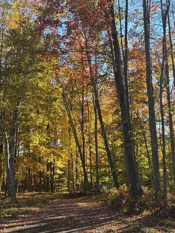 15744 DOUBLE B LANE, Mountain, WI 54149