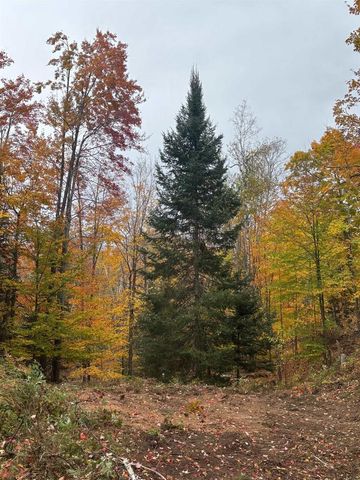 15744 DOUBLE B LANE, Mountain, WI 54149