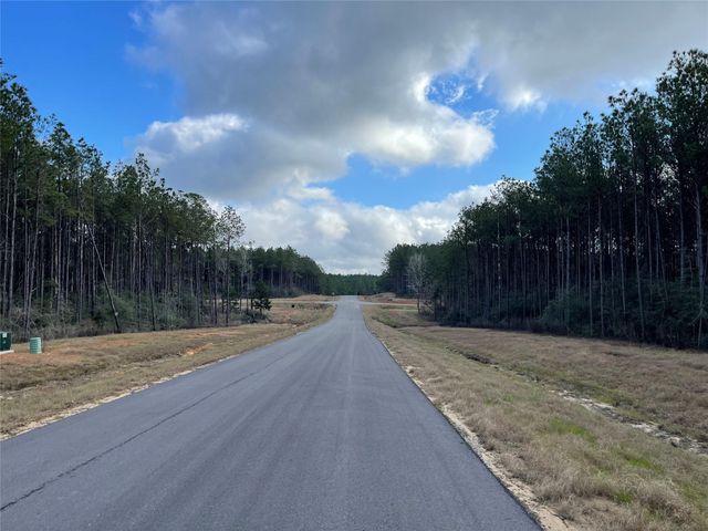 16031 Forest Mill Road, Willis, TX 77378