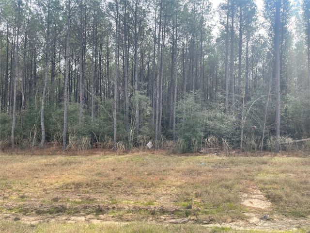 16031 Forest Mill Road, Willis, TX 77378