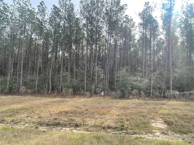 16031 Forest Mill Road, Willis, TX 77378