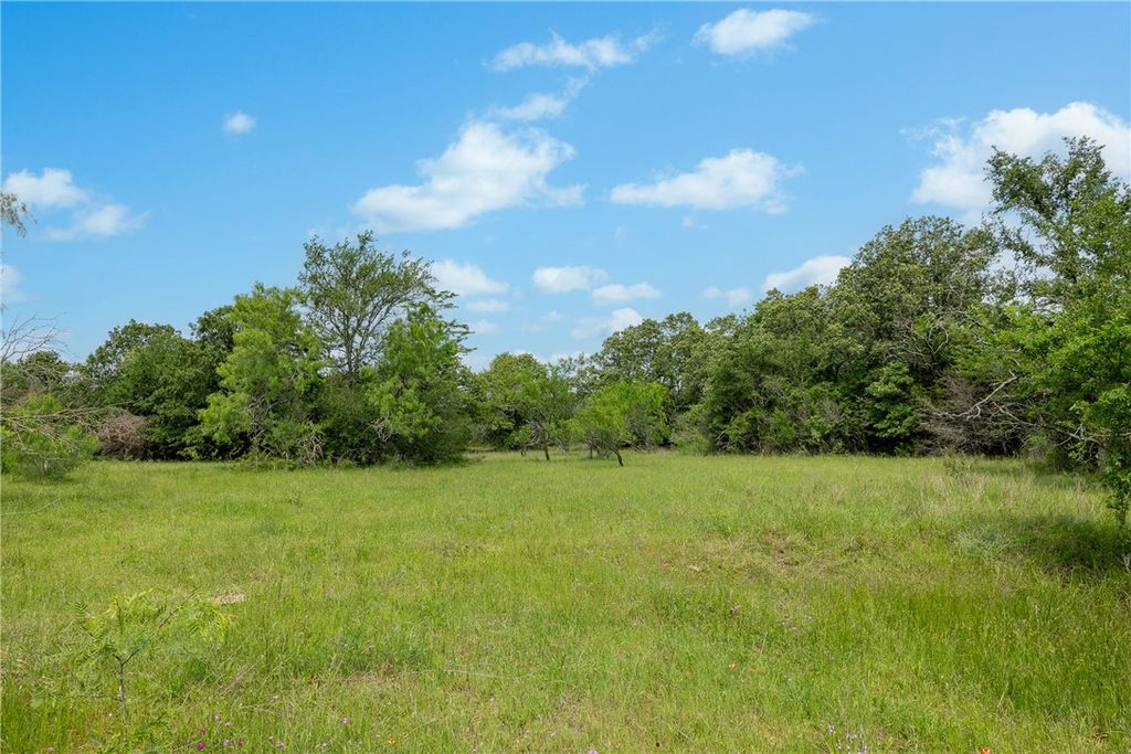 +/- 1600 AC FM 979, Franklin, TX 77856 — photo 4