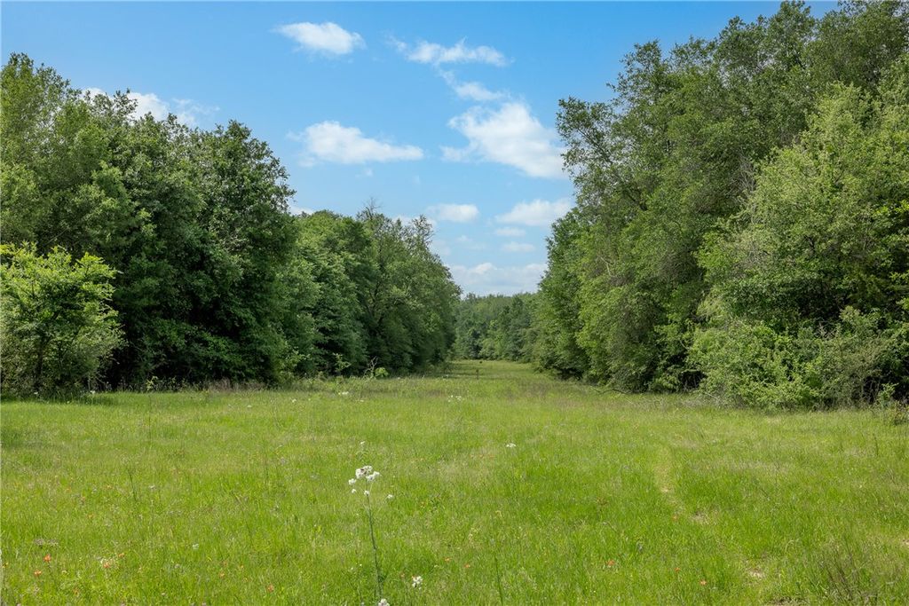 +/- 1600 AC FM 979, Franklin, TX 77856 — photo 5